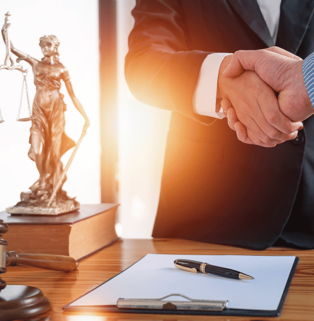 Contract Negotiation and Risk Review